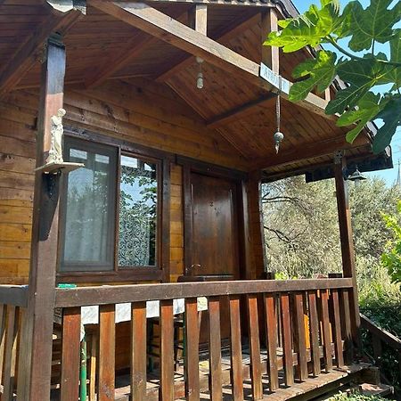 Aparthotel Olimpos Bungalov Apart Balikliova Exterior foto